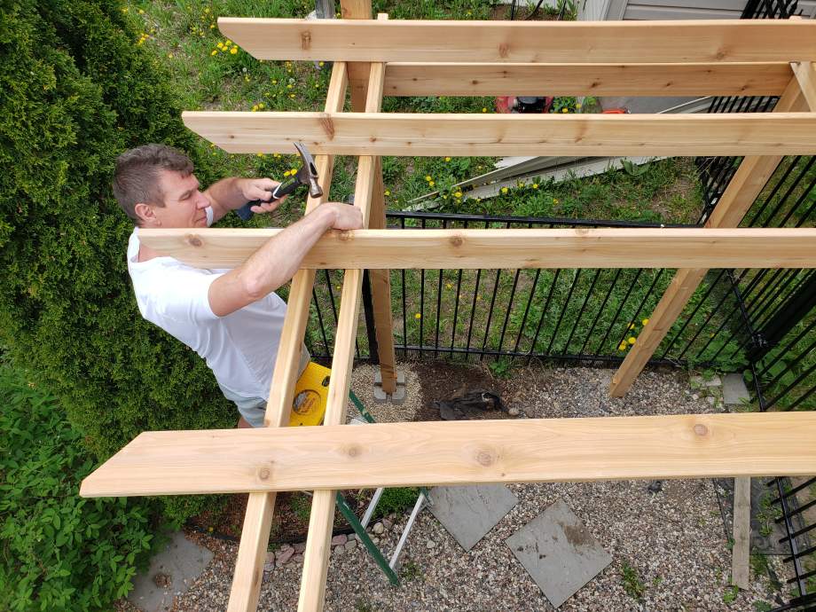 Pergola bois fait maison : types, matériel et étapes de construction
