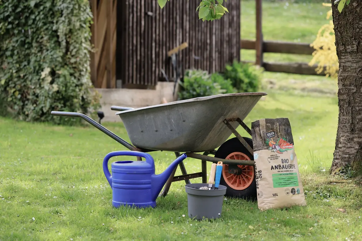 Mains semant des graines régulièrement dans un lit de jardin préparé