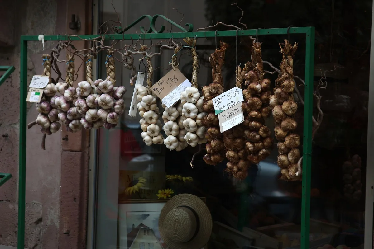 Différentes variétés d'ail dur et d'ail doux côte à côte