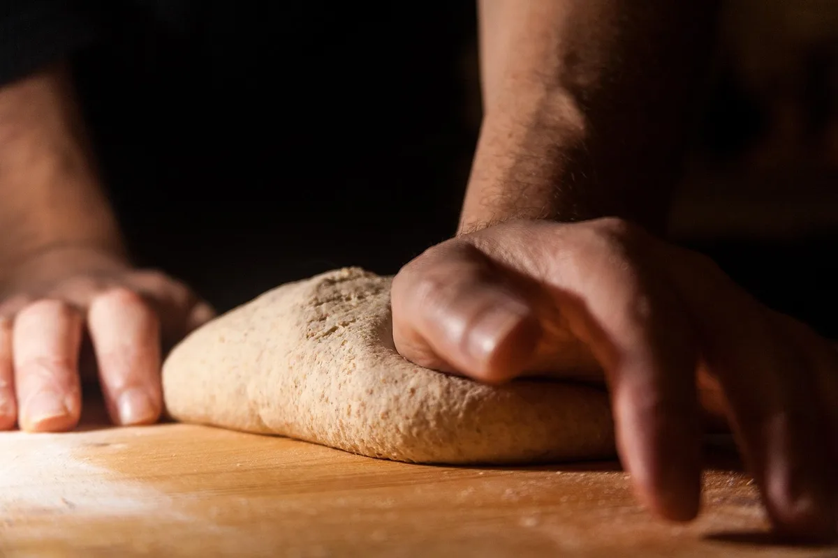 Préparation de tubercules certifiés prêts au semis dans une boîte