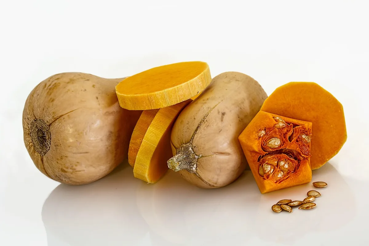 Courges butternut à peau dure dans un potager d'automne