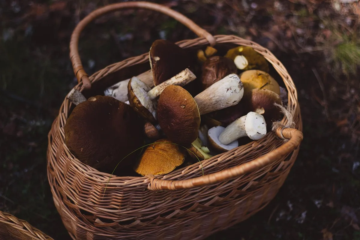 Paniers en osier près d'un canapé remplis de plaids