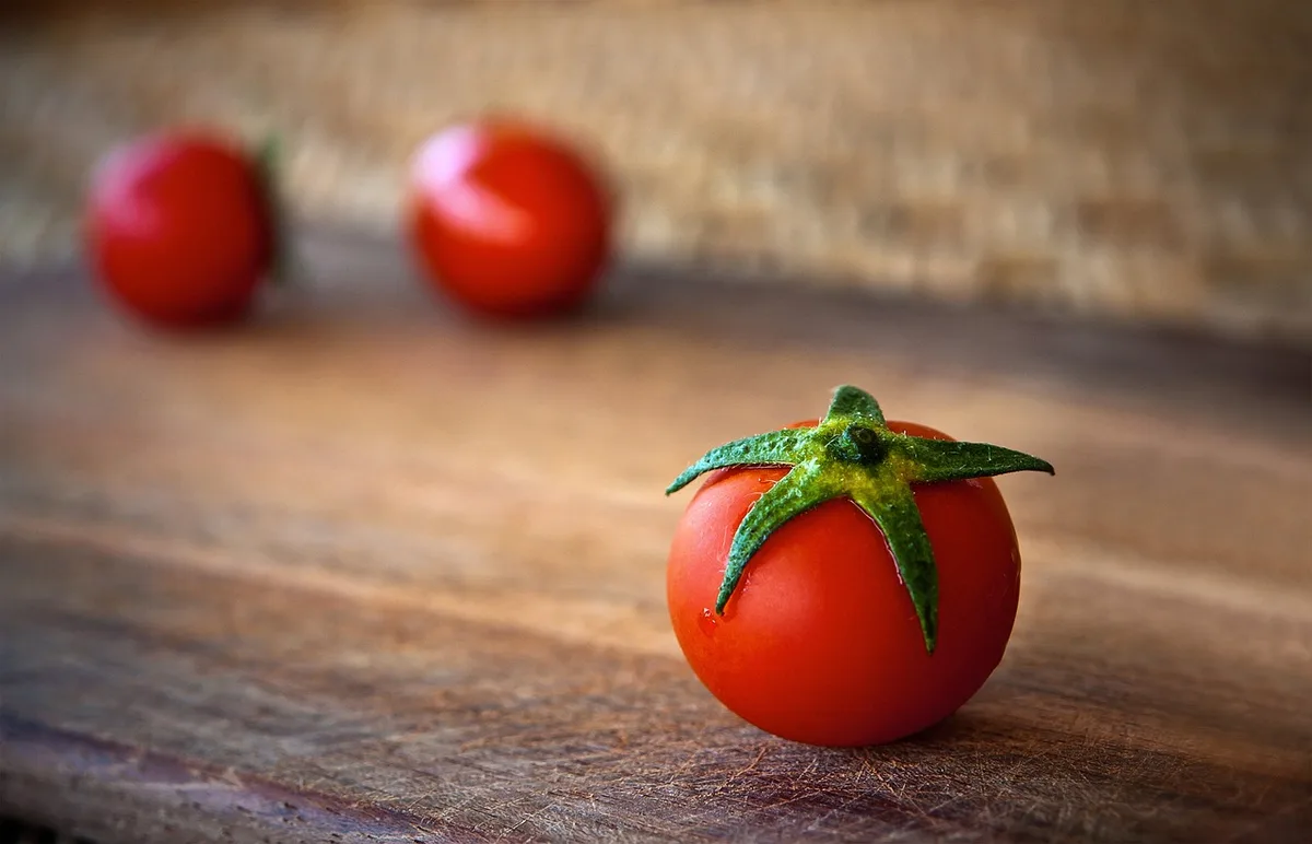 Ciseaux de jardin coupant une tige d'herbe au-dessus d'un nœud foliaire