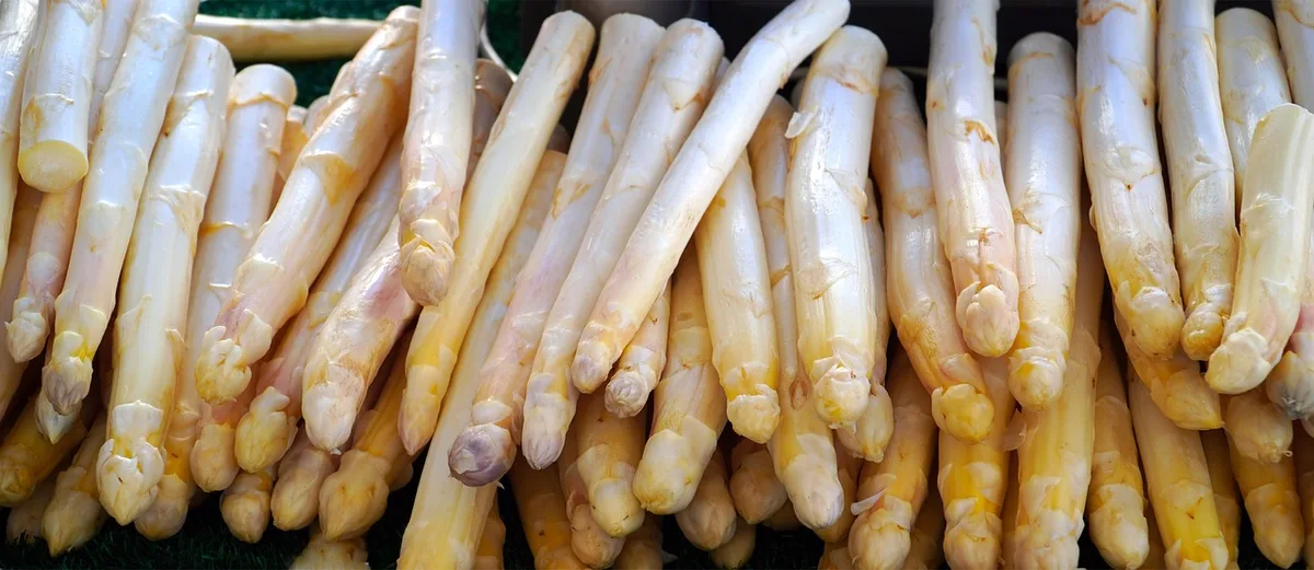 Lit surélevé en plein soleil idéal pour les asperges