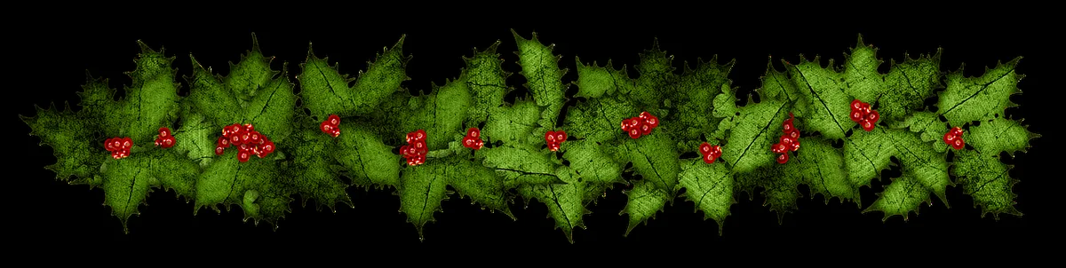 Fixation de ruban avec crochets adhésifs sur une guirlande extérieure