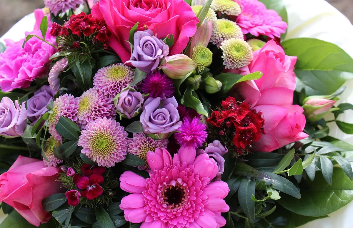 Gros plan de chrysanthèmes et œillets coupés dans un vase