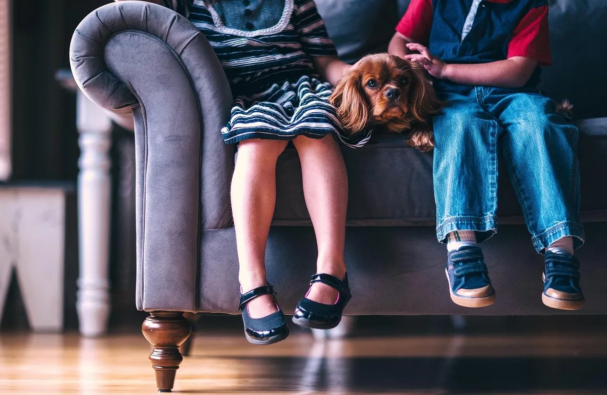 Canapé confortable et solide dans un salon bien éclairé