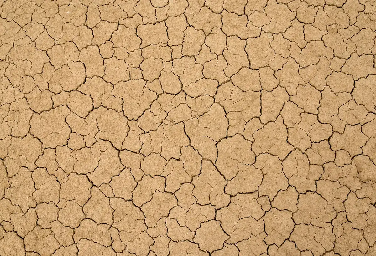 Gros plan sur le fond d'un pot avec drainage et terreau prêt à planter